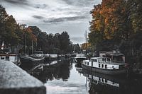 Herbstliche Szene Reitdiep-Kanal