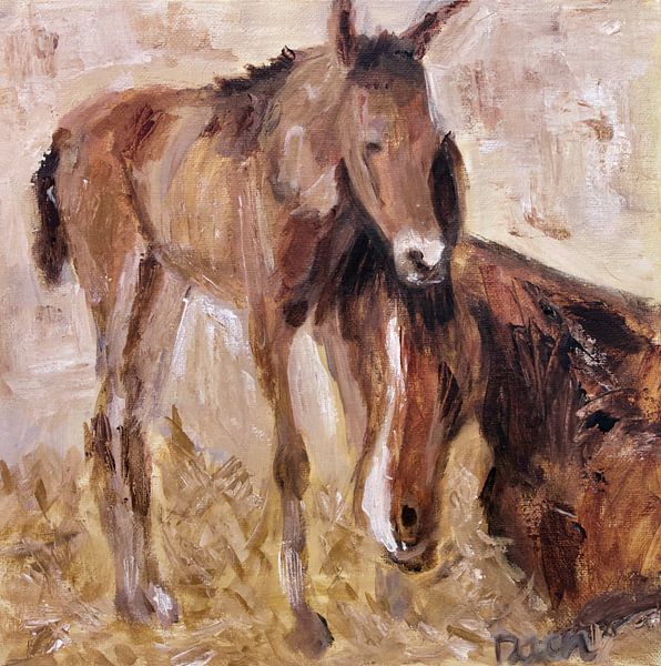 Fohlen mit Stute von Mieke Daenen