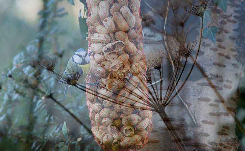 Kohlmeise im Traumland von joyce kool