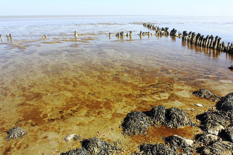 Wadden Sea at Sexbierum by Meindert van Dijk