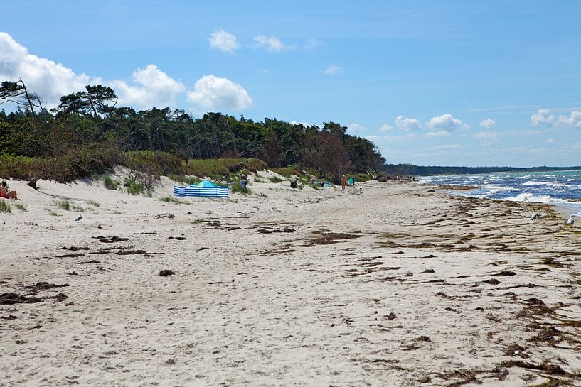 Darß - West Beach by t.ART