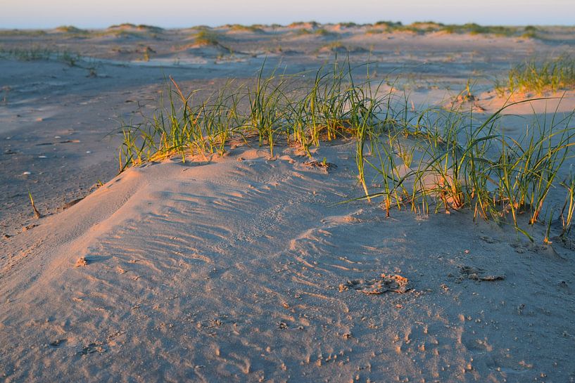 Idyllisches Bild von Sanddünen am Sandstrand bei Sonnenaufgang. von Studio LE-gals