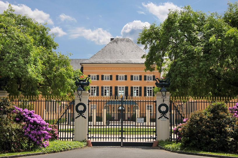 Schloss Johannisberg im Rheingau von Christian Müringer