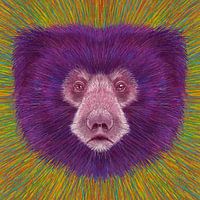 Tiergesicht Faultier Bär