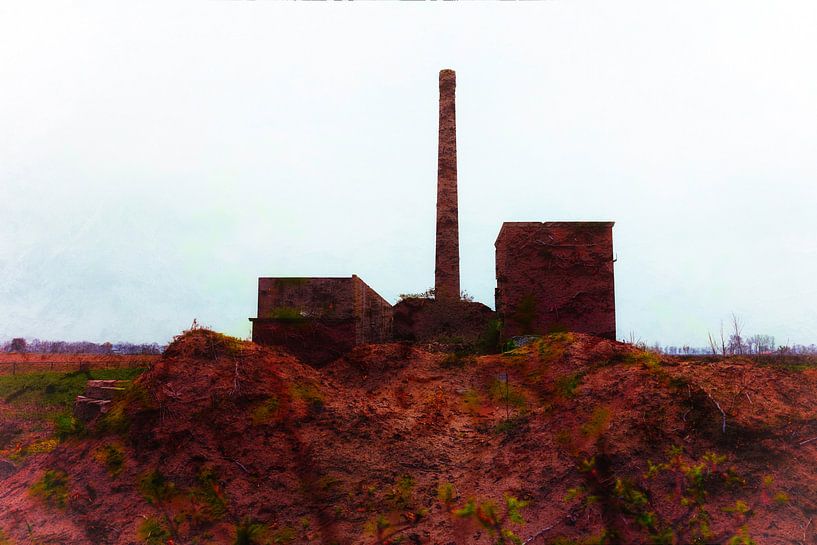 Flax plant by Willy Lippens