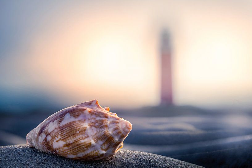 Coquillage et phare de Texel  par Texel360Fotografie Richard Heerschap
