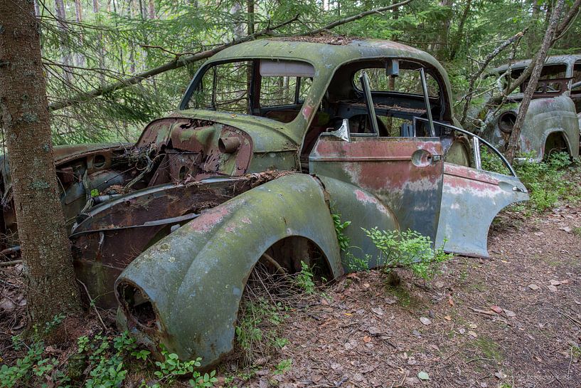 Autofriedhof im Wald in Ryd, Schweden von Joost Adriaanse
