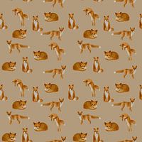 Vrolijk Vossen Patroon – Waterverf Illustratie