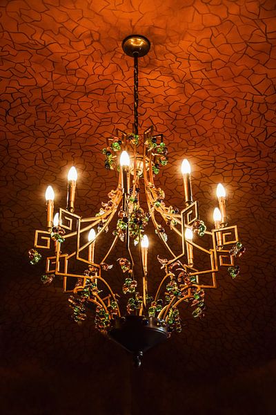 Lustre à Casa Batllo Barcelone Espagne par Andreea Eva Herczegh