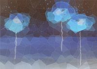 Poppies - Blue poppy