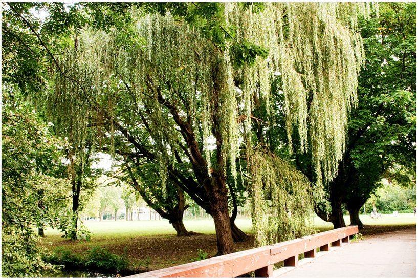 Rotterdamse Park von Anuska Klaverdijk