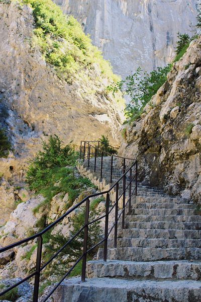 Endlose Treppe von Soheila Hosseini