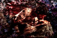 Macht liefde in plaats van ramp