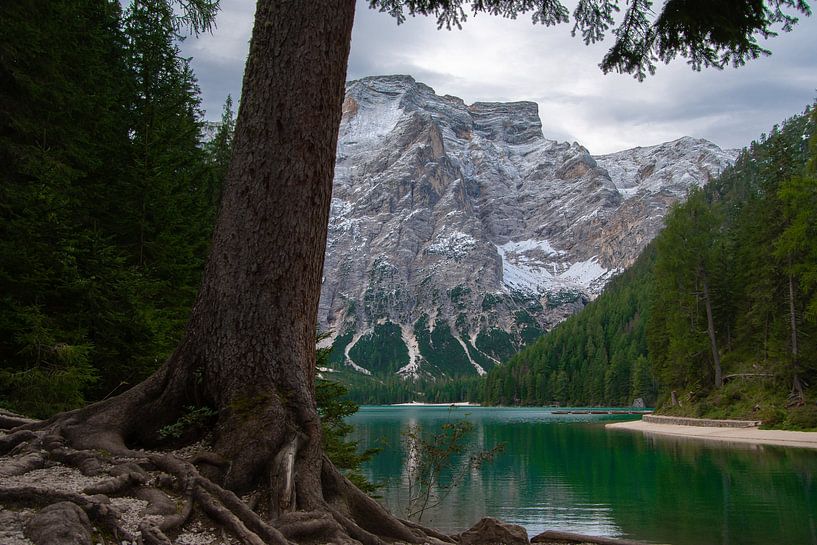 Dolomiten von Samantha Rorijs