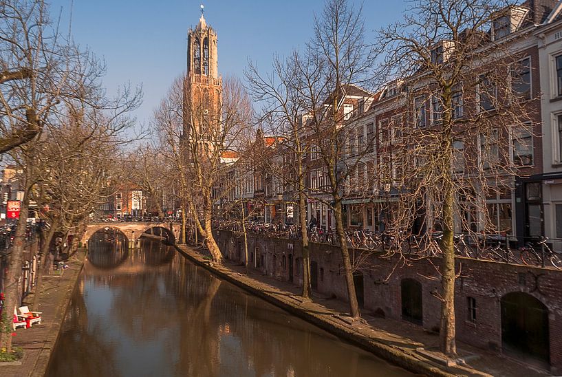 Dom in de herfstzon von Robin Pulles