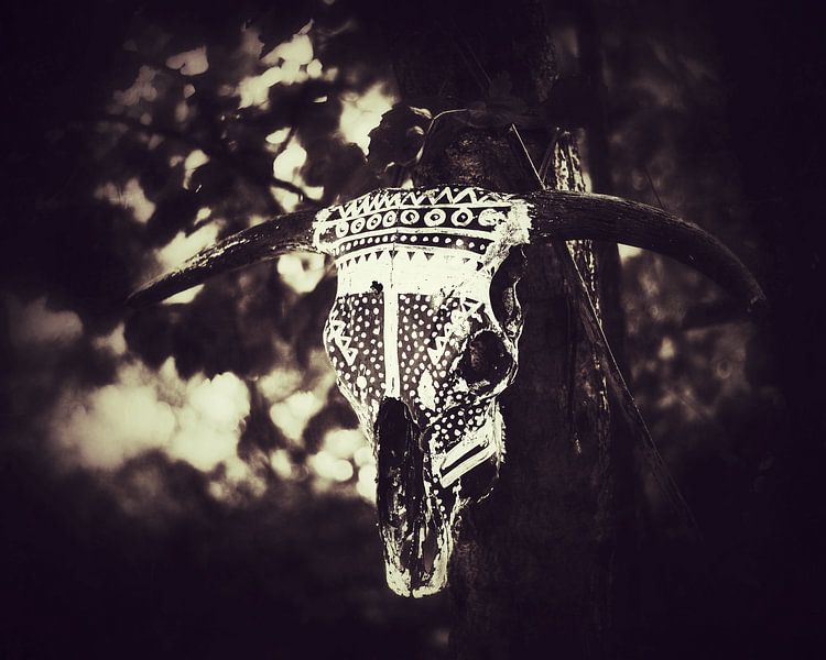 Cowboys et Indiens par Maneschijn FOTO