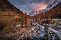 Autumn in swiss wallis.