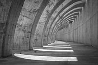 Formes courbes répétitives dans le béton