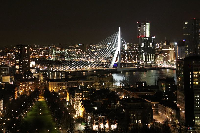Erasmus Bridge Rotterdam by Dick Schouten