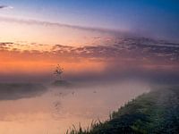 Morning in the polder