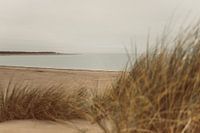 The beach of Renesse, Zeeland