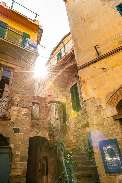 Typisch italienisches Chinque Terre von Damien Franscoise