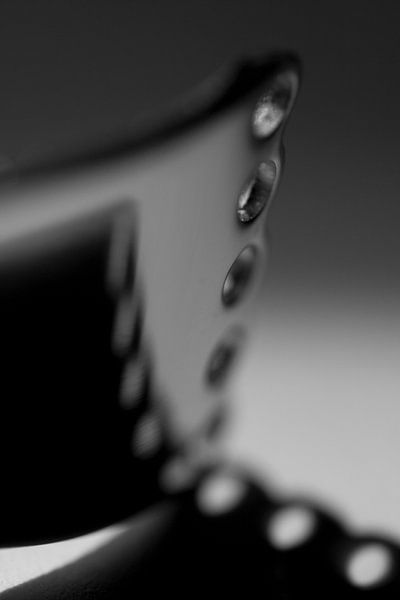 Zestenreißer von Robert Loomans