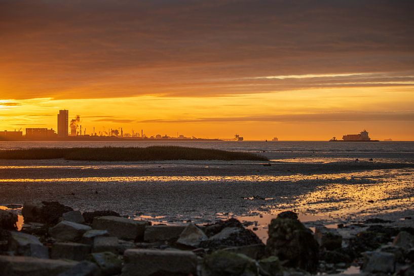 Fire in the sky by Wesley Kole