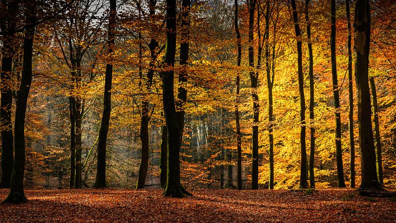 Im Feuer von Mariëlle de Valk