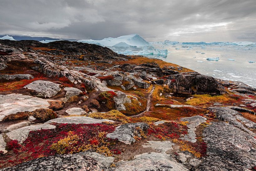 Des roches rouges sur la côte d'une baie rocheuse glacée au Groenland par Martijn Smeets