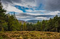 Herbst in Schottland
