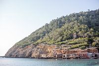 Landschaft Ibiza