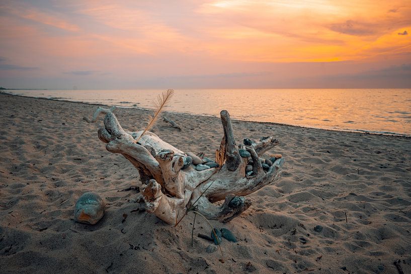 Coucher de soleil sur la plage ouest près d'Ahrenshoop sur la mer Baltique. Fisc par Thilo Wagner