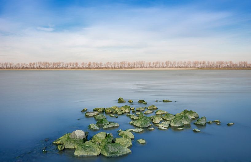 La Nouvelle Masse par Pieter van Roijen