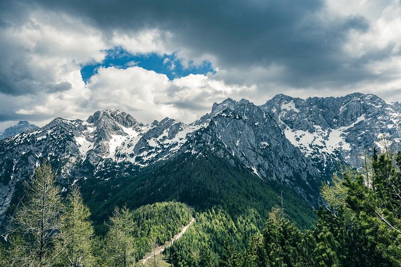 Vue sur la chaîne de montagnes Grintovec depuis Goli vrh par Sjoerd van der Wal Photographie