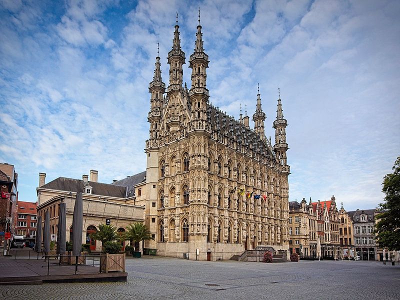 Rathaus von Leuven von Rob Boon