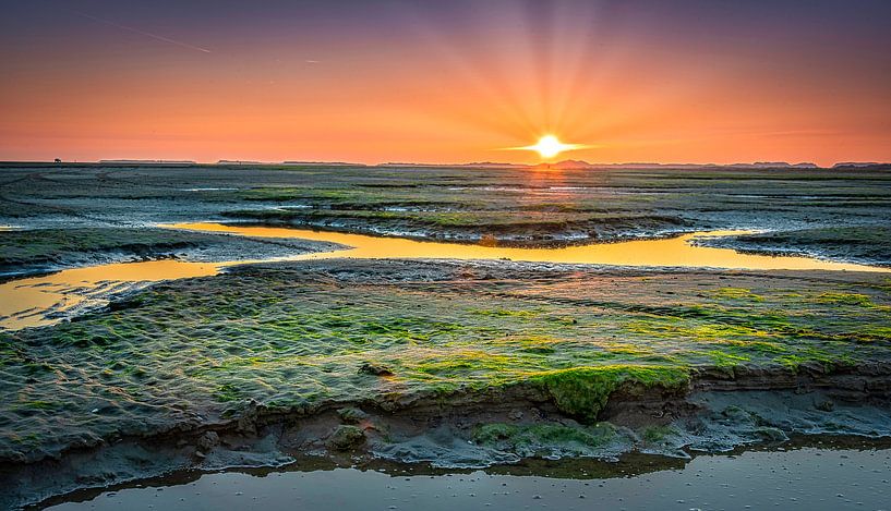 The Wadden Sea near Terschelling, Netherlands by Rietje Bulthuis