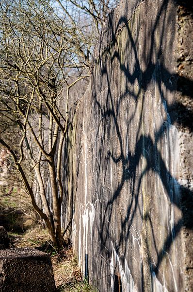 Atlanicwall von Heleen de Silva