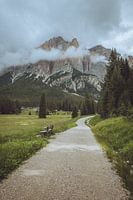 Randonnée dans les montagnes