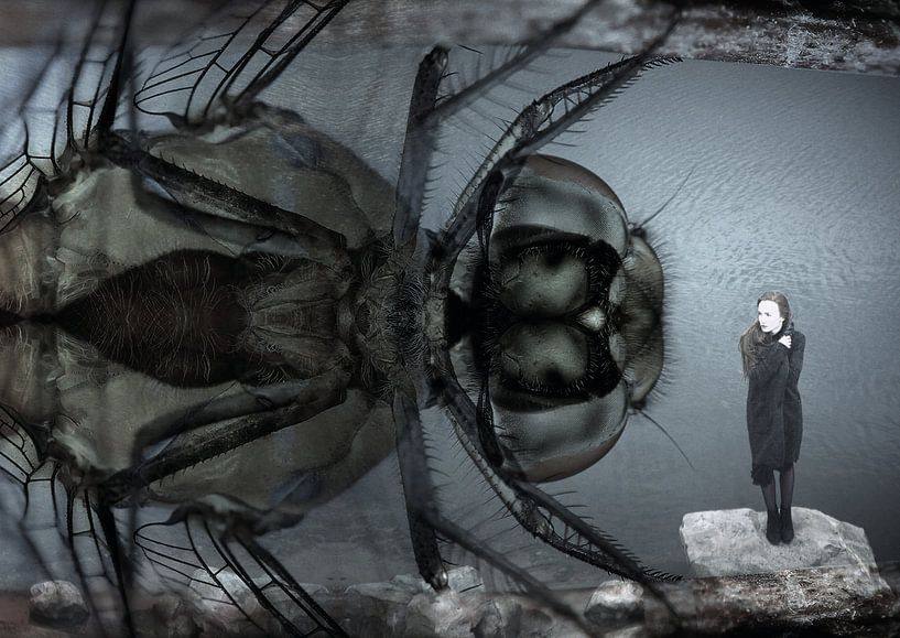 Je suis impressionné par Andreas Schulte