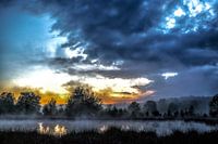 Mysteriöser Waldteich mit Nebel