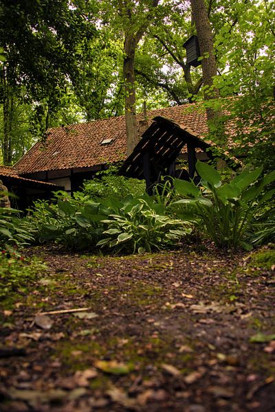 Abri naturel par Beeldspraak