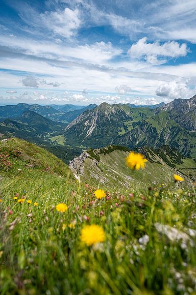 Blumen mit Blick auf Bad Hindelang, Grünten und das Allgäu von Leo Schindzielorz
