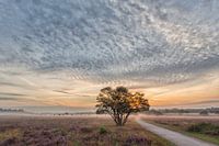 Early in the morning