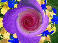 Play of colours in purple with a rose