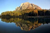 Mirror of the mountains