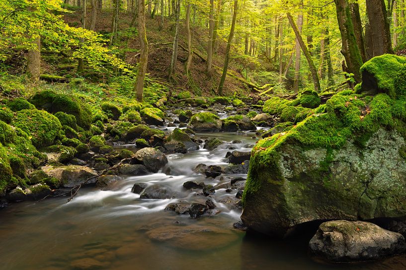 Une petite rivière dans la région de l'Eifel photographiée avec une longue vitesse d'obturation. par Rob Christiaans