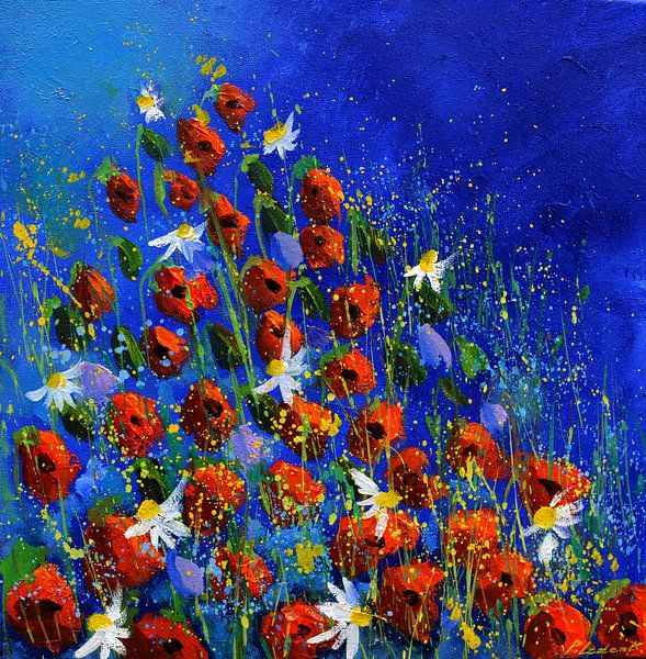 Poppies and daisies par pol ledent