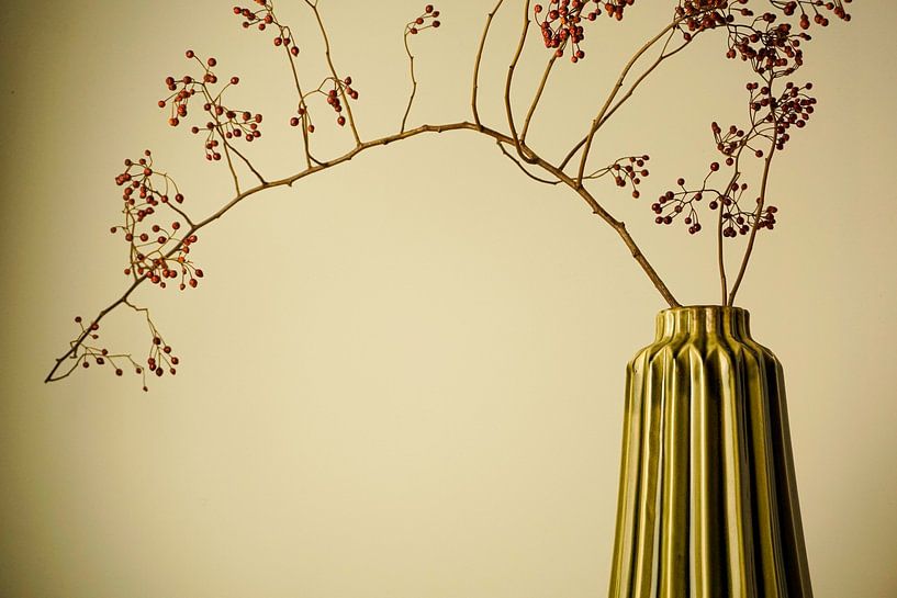 Hagebutte in Vase von simone swart