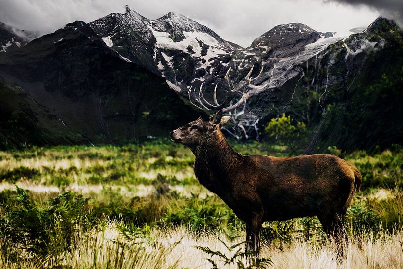 Monts des cerfs par Mateo